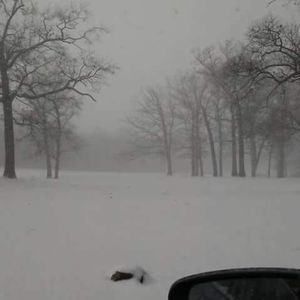 Meet your Posher, Weston